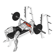 Animated demo of a barbell bench press